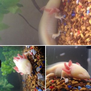 Bruce's first few days
