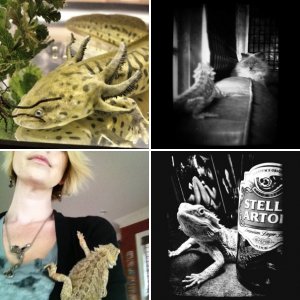 Ralphie and our other pets