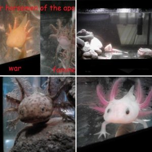 random pics of month one