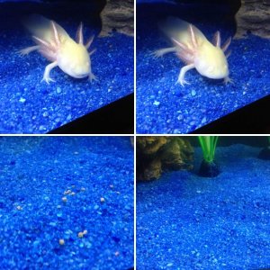 is my sand/gravel to large?