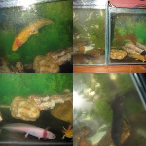 getting bigger :-)