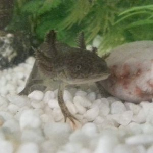 Dave :)