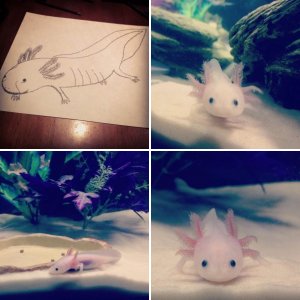Randall my Axolotl!