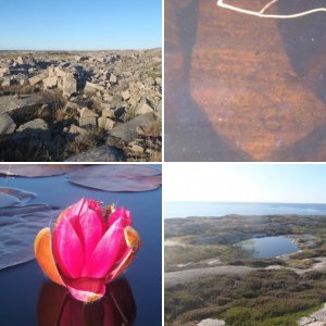 West coast Sweden