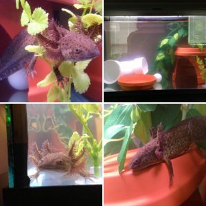 My new baby!