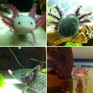 The babies!