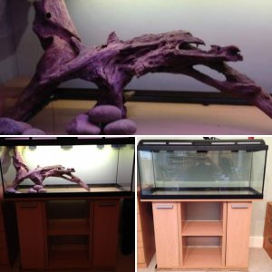 My new lotl tank!