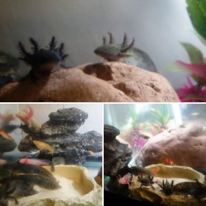 Some of mine