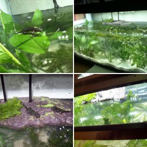 Updated Tank February 19th, 2014