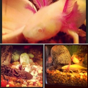 My new Kids