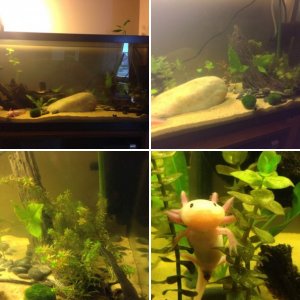 My Tank