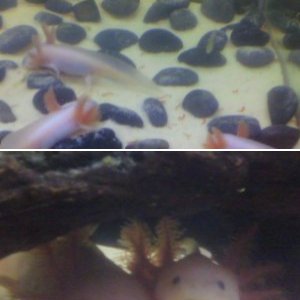 My buddies