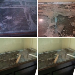 Having to tear up our slate bottom tank...for some reason it was killig our axolotls