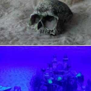 My Tank