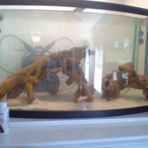 my tank
