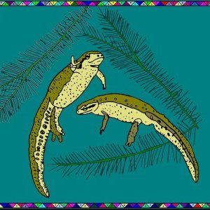 CutiePie & LittleYellowy, Notophthalmus viridescens