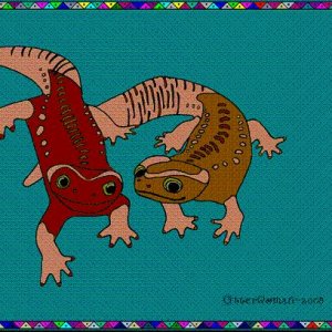 Eddie and Elektra, Tylototriton verrucosus