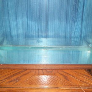 Tank Length 24"