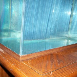 Tank Left View