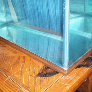 Tank Right View (*black stuff on table is paint*)
