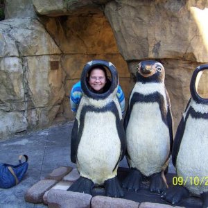 PenguinHead