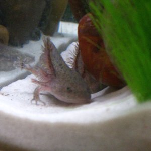 photos 041
