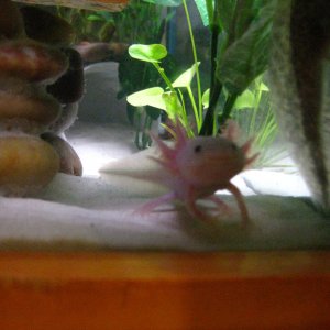 photos 060