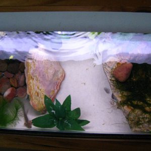 tank4