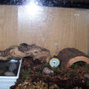 Marely in his habitat