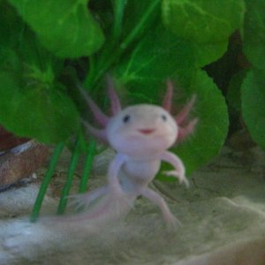 Hi!