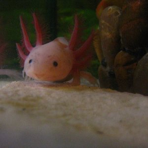 photos 005
