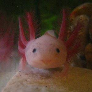 Hi!
