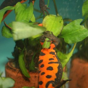 IMG 5643[1]
