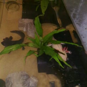 Playing hide n seek?!