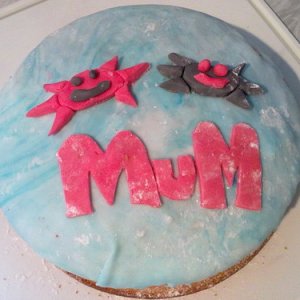 B'day cake made by my 13 year old daughter, May 2010