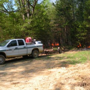 Burnin' down the house... forest. 

Controlled burn.