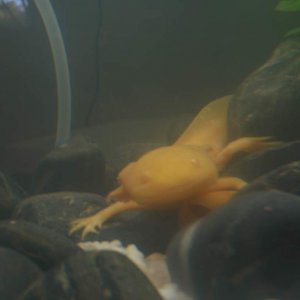 pink playing hide and seek