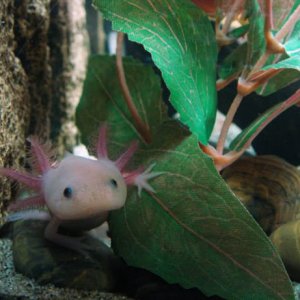 Floyd exploring