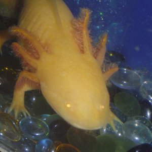 DSC01784