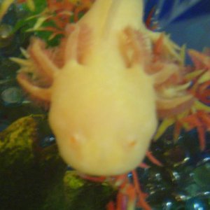 DSC01828