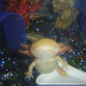 DSC01781