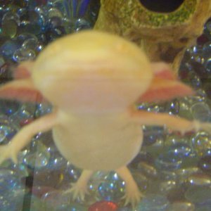 DSC01854
