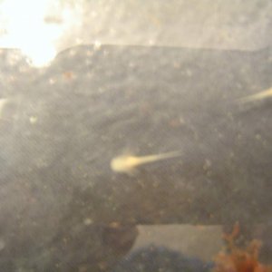 DSC01855