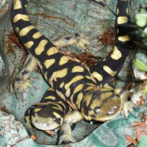 It's good to be friends!