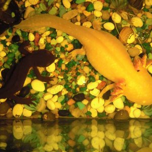 P7050372