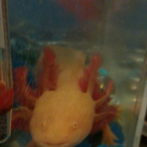 IMAG0022