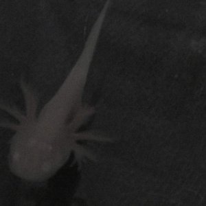 IMAG0053