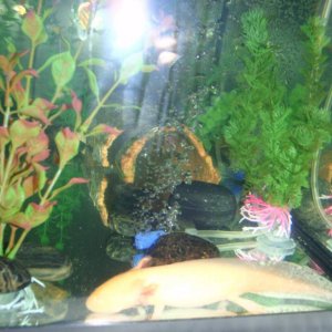 prince chilling