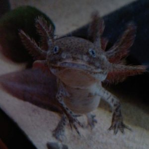 IMAG0379