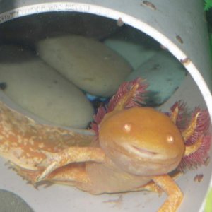 DSCF0136